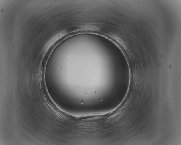 X0000086061119200703301034