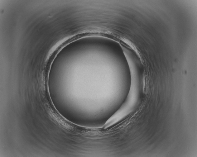 X0000086061120200703301034