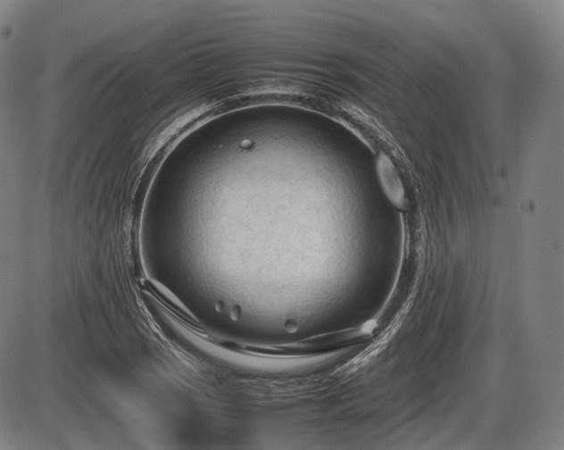 X0000086061121200703301034