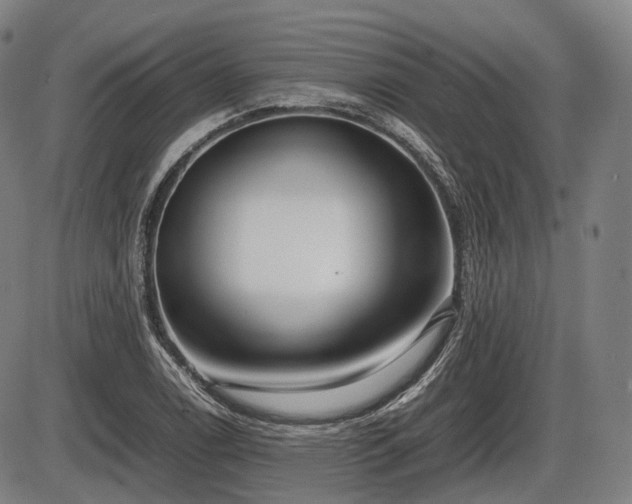 X0000086061122200703301034