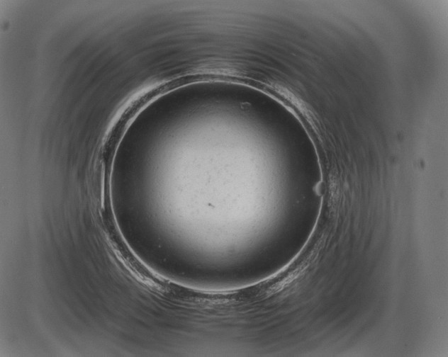 X0000086061123200703301034