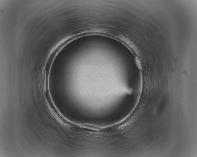 X0000086061127200703301034