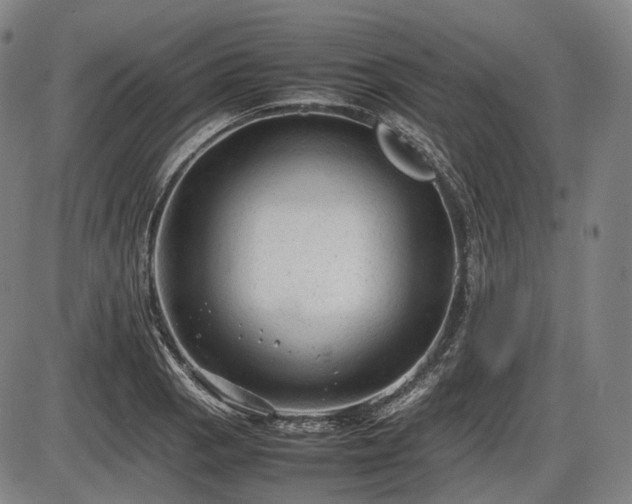 X0000086061129200703301034