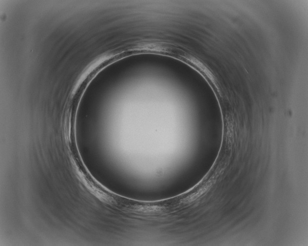 X0000086061131200703301034