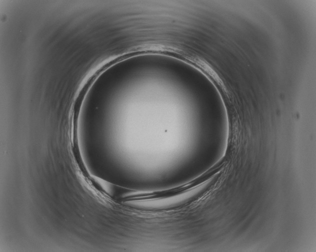 X0000086061132200703301034