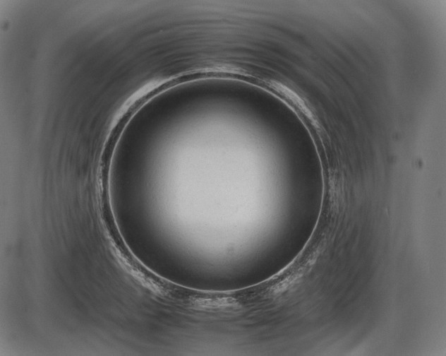 X0000086061133200703301034