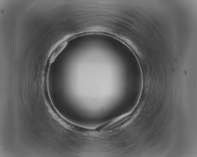 X0000086061134200703301034