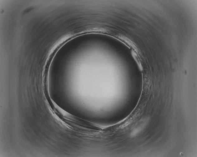 X0000086061135200703301034