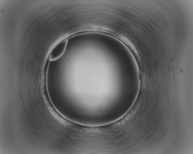 X0000086061136200703301034