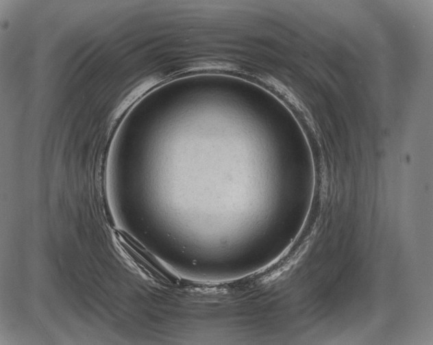 X0000086061137200703301034