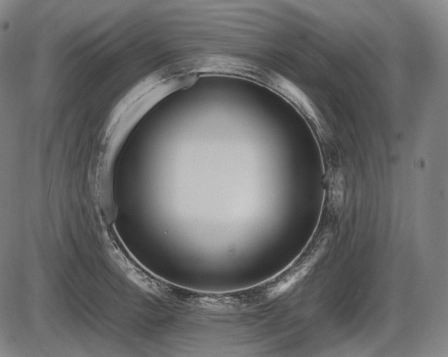 X0000086061138200703301034