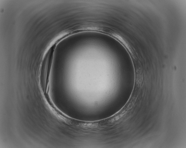 X0000086061139200703301034