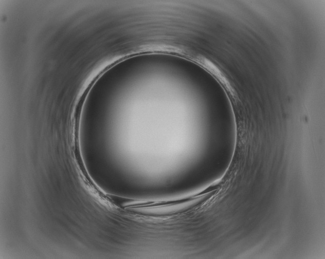 X0000086061140200703301034