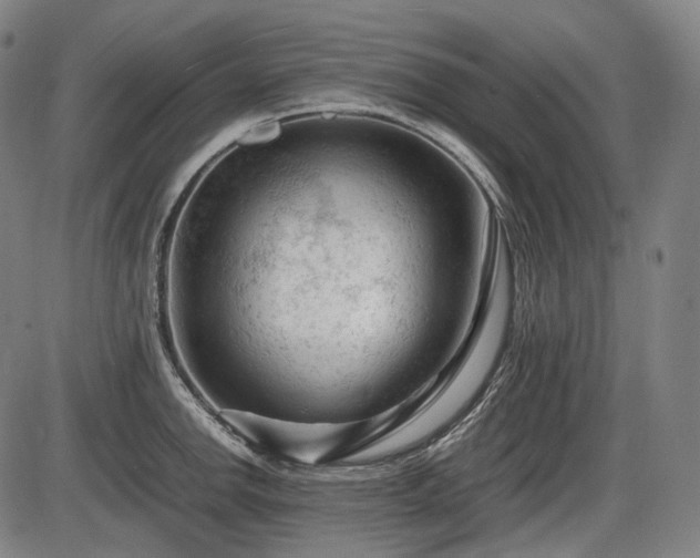 X0000086061142200703301034