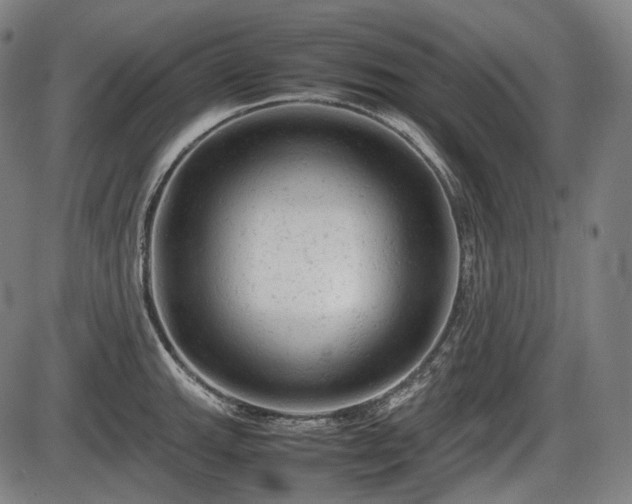 X0000086061143200703301034