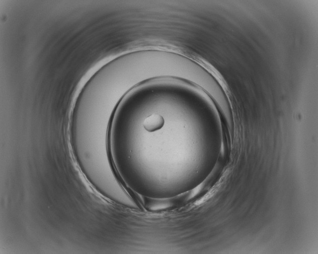 X0000086061144200703301034