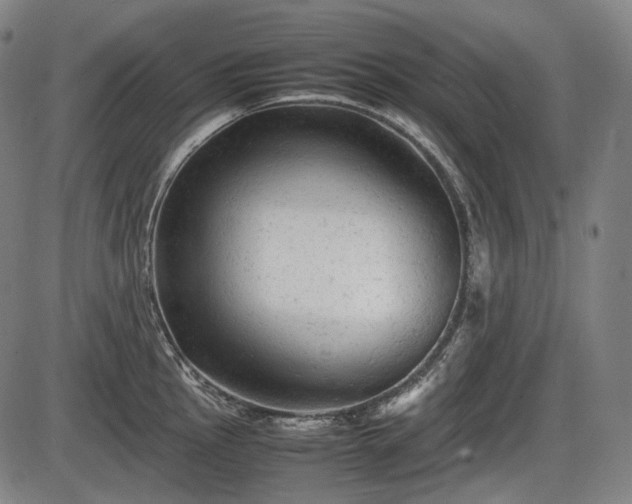 X0000086061145200703301034