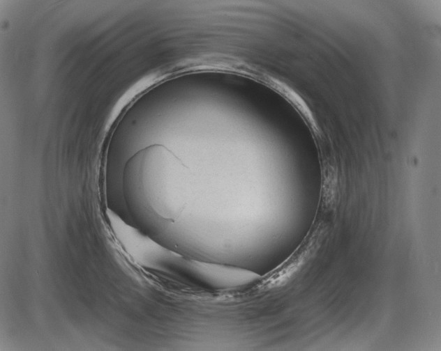 X0000086061146200703301034