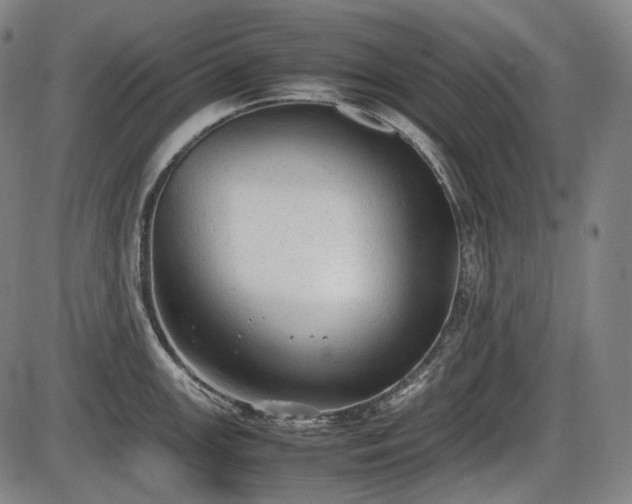 X0000086061147200703301034