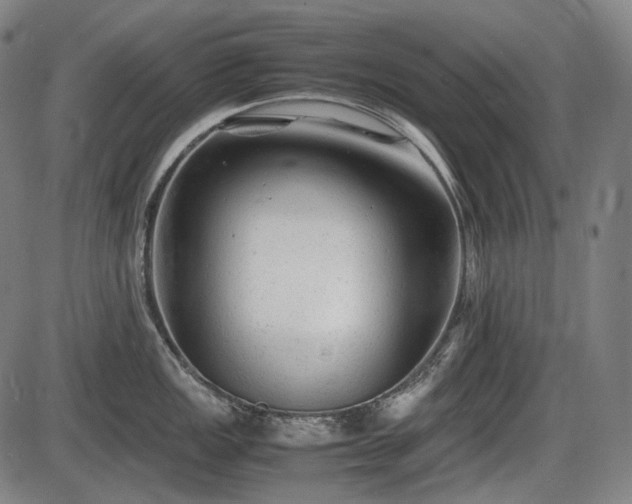 X0000086061149200703301034