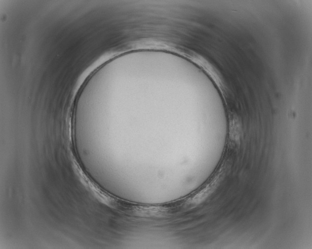 X0000086061150200703301034