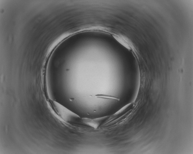 X0000086061151200703301034