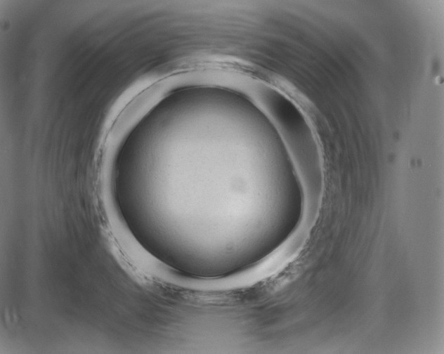 X0000086061152200703301034