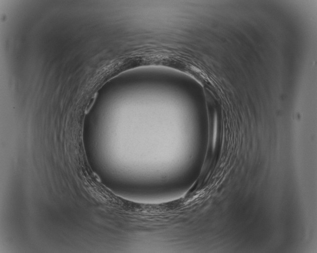 X0000086061153200703301033