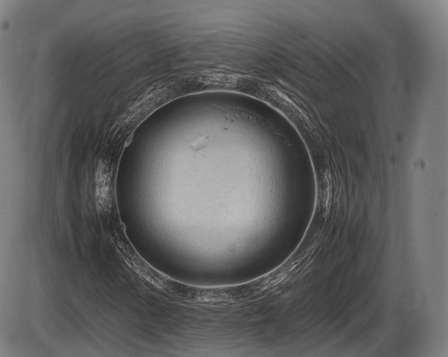 X0000086061154200703301033