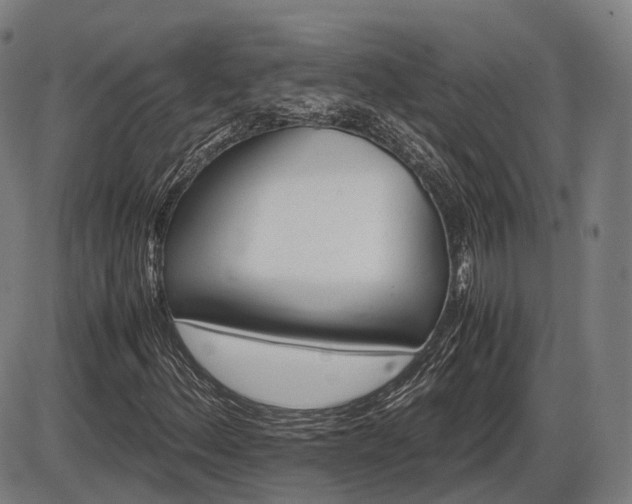 X0000086061156200703301033