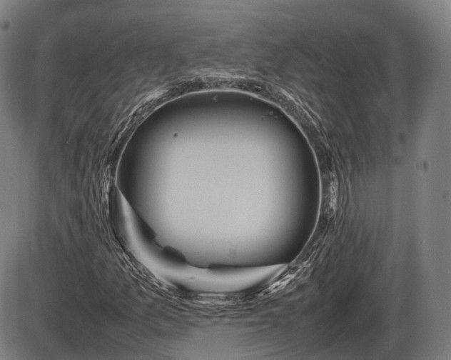 X0000086061157200703301033