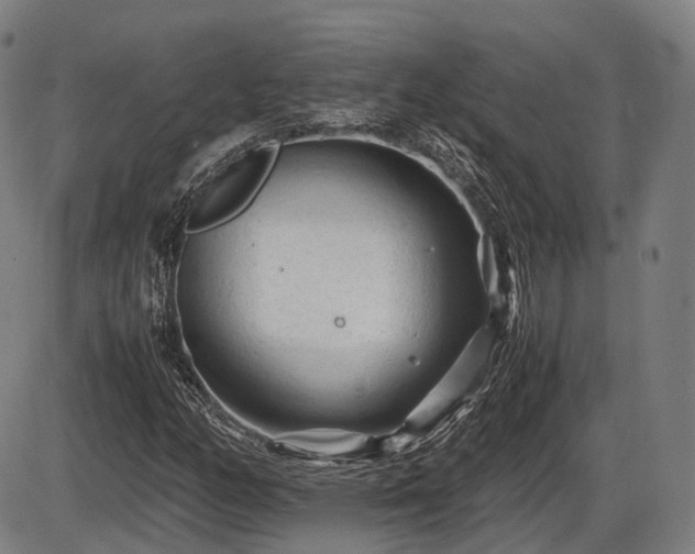 X0000086061158200703301033