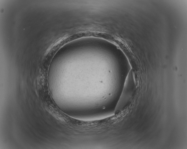 X0000086061159200703301033