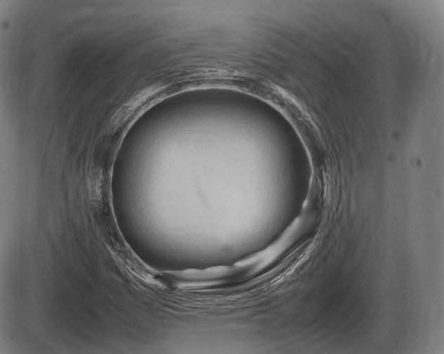 X0000086061161200703301033