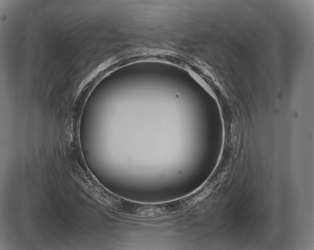 X0000086061165200703301033