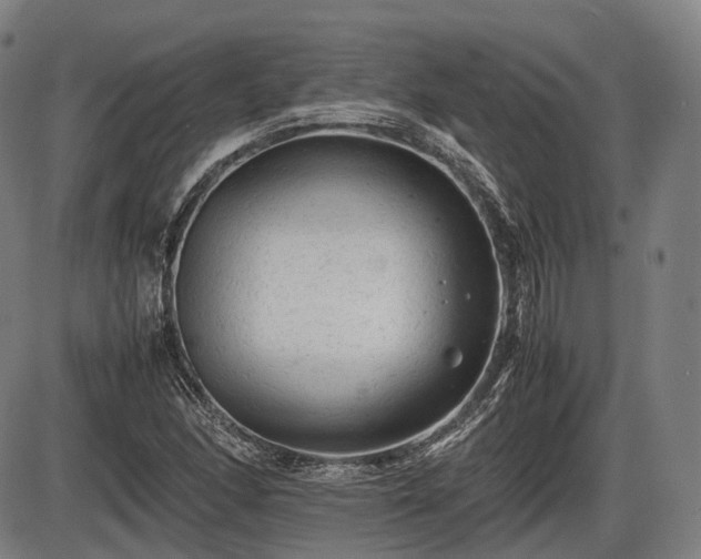 X0000086061166200703301033