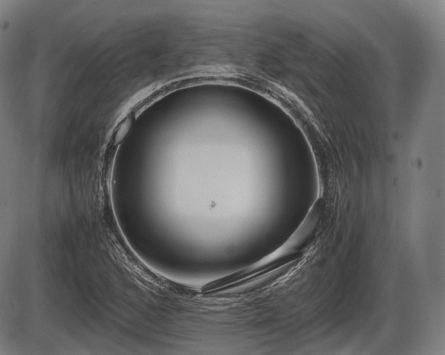 X0000086061168200703301033