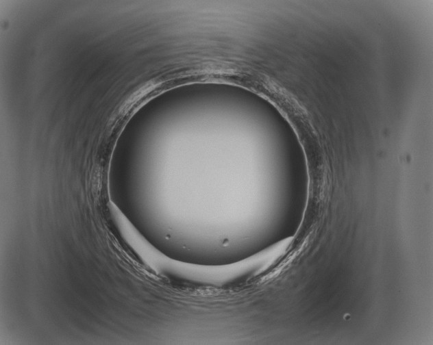 X0000086061169200703301033