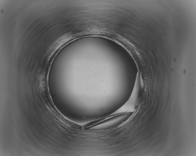 X0000086061170200703301033