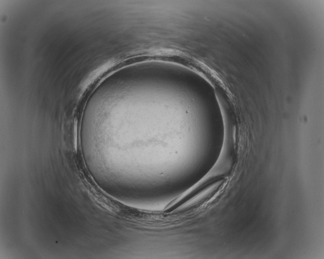 X0000086061171200703301033