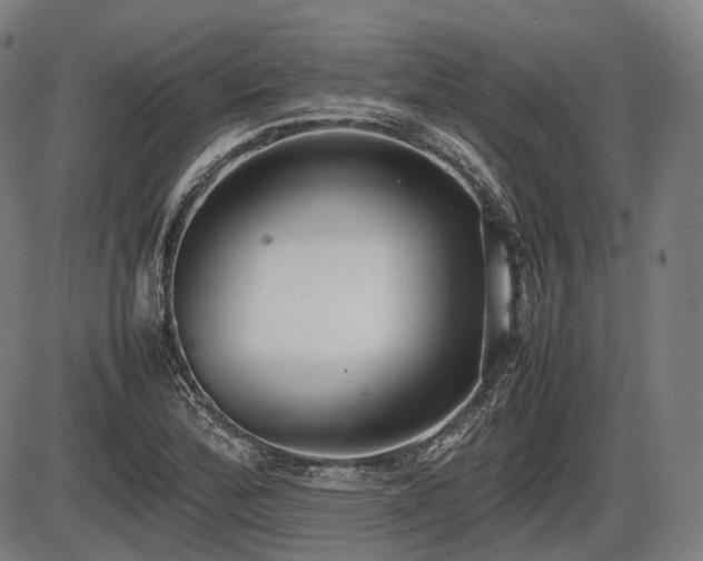 X0000086061172200703301033