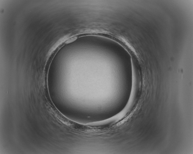 X0000086061173200703301033