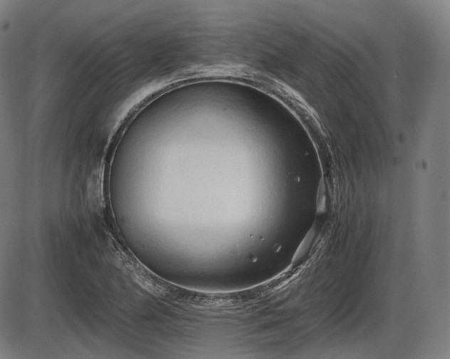 X0000086061174200703301033