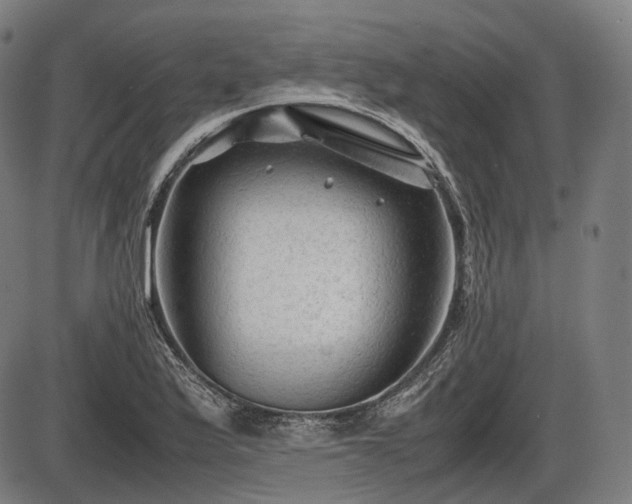 X0000086061175200703301033