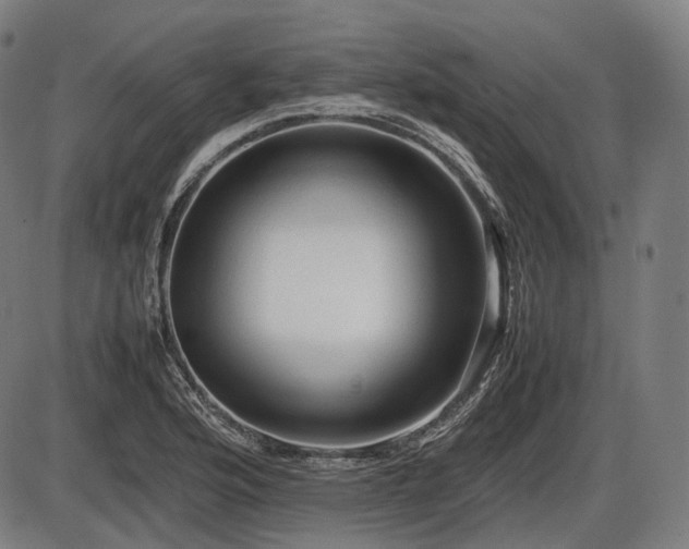 X0000086061176200703301033