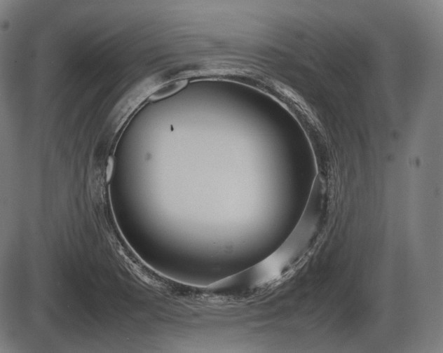 X0000086061177200703301033