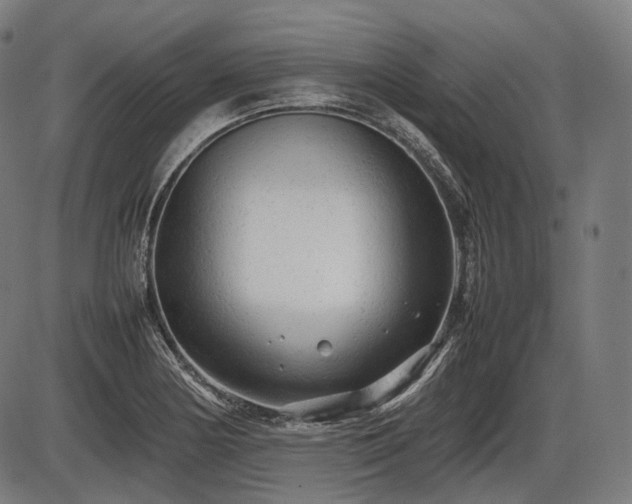 X0000086061178200703301033