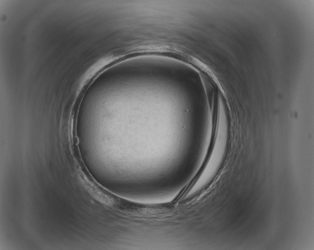 X0000086061179200703301033