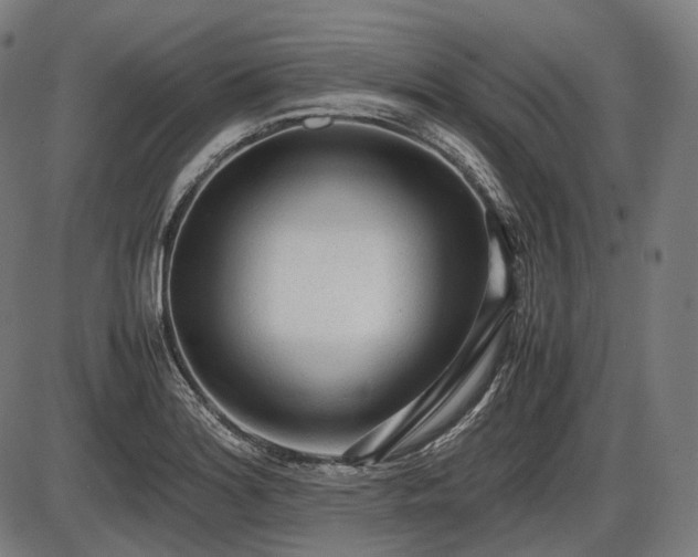 X0000086061180200703301033