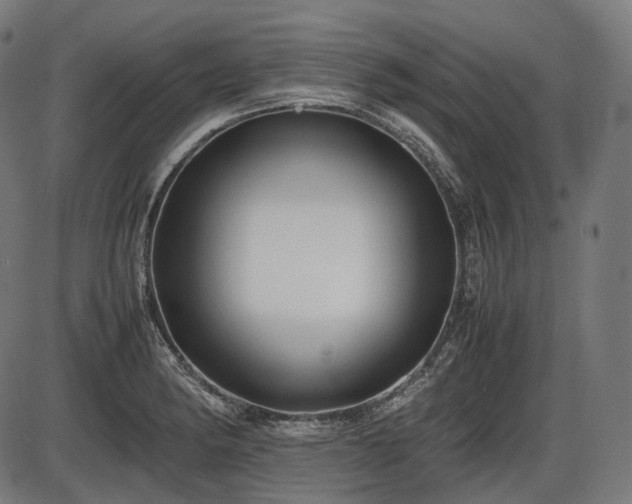 X0000086061182200703301033